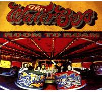 The Waterboys Room to Roam (Vinyl) 12" Album (US IMPORT)