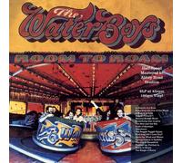 The Waterboys - Room To Roam (Vinyl LP 2021, Half Speed Remastered, 180g)