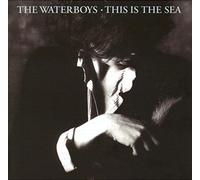 The Waterboys - This Is The Sea (Collectors Edition)