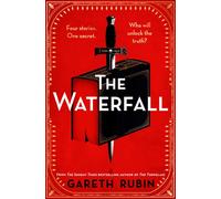 The Waterfall : A beguiling and intricate mystery from Sunday Times bestselling author Gareth Rubin