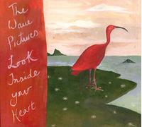 THE WAVE PICTURES - LOOK INSIDE YOUR HEART