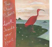 THE WAVE PICTURES - LOOK INSIDE YOUR HEART [VINYL]
