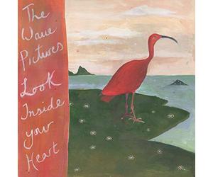 THE WAVE PICTURES - LOOK INSIDE YOUR HEART [VINYL]