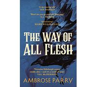 The Way of All Flesh By Ambrose Parry (Paperback) Fiction Books
