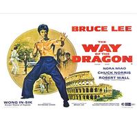 The Way of the Dragon Bruce Lee Classic Vintage 80's Movie Poster Art Glossy Poster (A4 210 × 297 mm)
