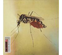 The Weeks - Dear Bo Jackson