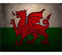 The Welsh Dragon - Retro Vintage Metal Poster Sign, Plaque, Decorative Wall Art, 2 Sizes (A5, 15 x 20cm)