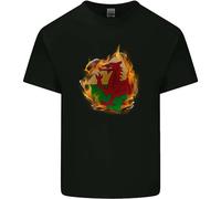 The Welsh Flag Fire Effect Wales Mens Cotton Crew Neck Unisex Short Sleeve T-Shirt XXXL Black