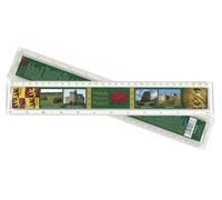 The Welsh History ruler is plastic and measures 30cm long. It shows measurements in both inches and centimetres. The rear has Welsh history dating from 700BC
