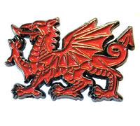 The Welsh Red Dragon National Flag Metal Enamel Pin Badge