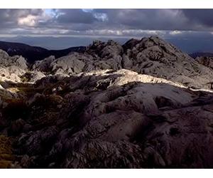 The West Coast and Northern South Island