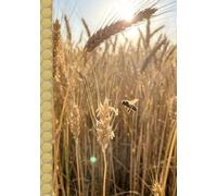 The Wheat Field: A Simple Lined Notebook for Everyday Use