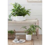 The White Company Ribbed Stoneware Planter 30.8cm 1 Size