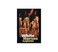 The White Horses Of Lipizza [DVD]