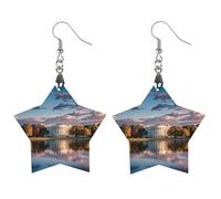 The White House on The Lake Wooden Earrings for Women, Vintage Elegant Wood Jewelry, Lightweight Earrings for Wedding, Party, Everyday Jewelry Gift, Apricot shaped, Wood, wood