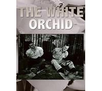 The White Orchid