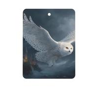 The White Owl And Building Car Aromatherapy Tablets