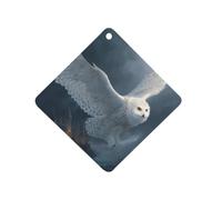 The White Owl And Building Car Aromatherapy Tablets