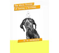 The Whole Pointer Having A Birthday... - Funny Animal Birthday Card