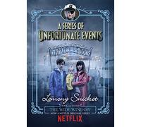 The Wide Window (A Series of Unfortunate Events)