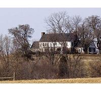 The Widow on the Hill