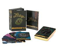Redfeather Oracle Kit Box Set – The Wild Elemental Oracle – 44 Cards & Guide Book