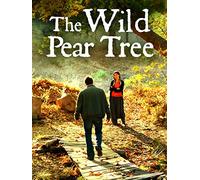 The Wild Pear Tree