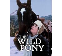 The Wild Pony