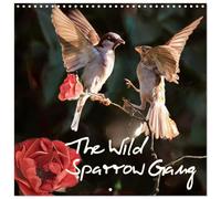The Wild Sparrow Gang (Wall Calendar 2026 12" x 24" / 30 x 60 cm (open)) CALVENDO 12 Month Wall Calendar
