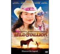 The Wild Stallion