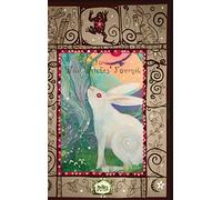 The Wild Witches' Journal