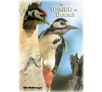 The Wildlife of Dorset