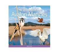The Wildlife of the Avalon Marshes