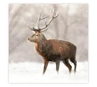 The Wildlife Trusts Charity Christmas Cards, 8 Pack, 100% Recycled FSC Certified (Red Deer Stag)
