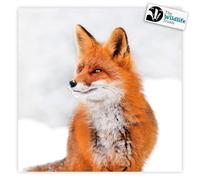 The Wildlife Trusts Charity Christmas Cards, 8 Pack, 100% Recycled FSC Certified (Red Fox)