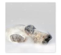 The Wildlife Trusts Grey Seal in Snowfall | 8 Charity Christmas Cards | Eco Friendly FSC 100% Recycled