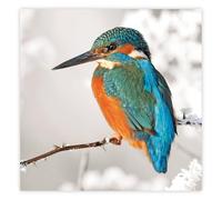 The Wildlife Trusts Kingfisher | 8 Charity Christmas Cards | Eco Friendly FSC 100% Recycled