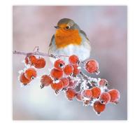 The Wildlife Trusts Robin on Berries | 8 Charity Christmas Cards | Eco Friendly FSC 100% Recycled