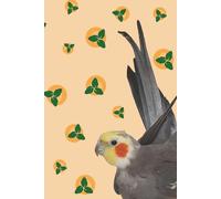 The Willie and Oranges Notebook