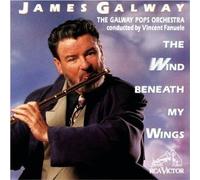 The Wind Beneath My Wings