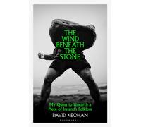 The Wind Beneath the Stone : My Quest to Unearth a Piece of Ireland's Folklore