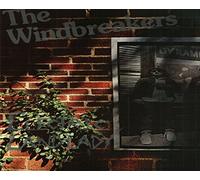 The Windbreakers: Electric Landlady