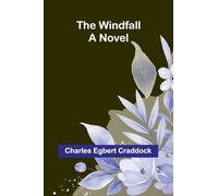 The windfall: A novel