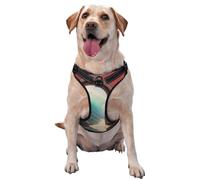 The Window Leading to The sea Premium Dog Harness for Small, Medium, and Large Dogs - Durable, No Pull with Reflective Straps and Quick Release BucklesMedium