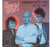 The Window Speaks - Something's gotten hold of my heart (1985) / Vinyl single [Vinyl-Single 7'']