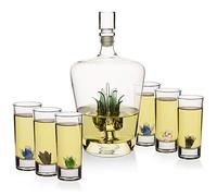 The Wine Savant Tequila Decanter Tequila Glasses Set with Agave Decanter and 6 Agave Sipping Shot Glass, Perfect for Gifts for Tequila Lovers, 25 Ounce Bottle, 3 Ounce Tequila Party (Agave)