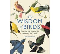 The Wisdom of Birds – Essential Life Lessons for Positivity and Grace