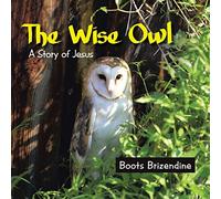 The Wise Owl: A Story of Jesus