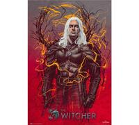 The Witcher Geralt Poster in Brown The Witcher Brown