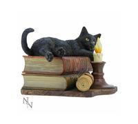 THE WITCHING HOUR LISA PARKER BLACK CAT ORNAMENT GIFT 20.5cm NEMESIS NOW GIFT